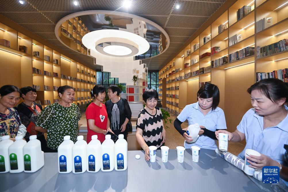 威尼斯vip